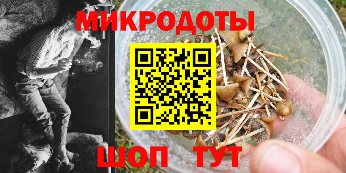Галлюциногенные грибы Psilocybe Аша